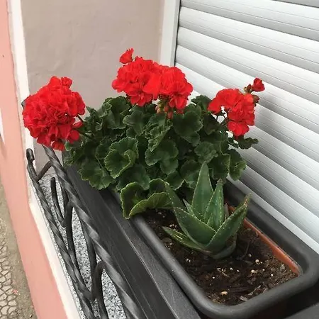 Davila Park's Wifi Lägenhet *